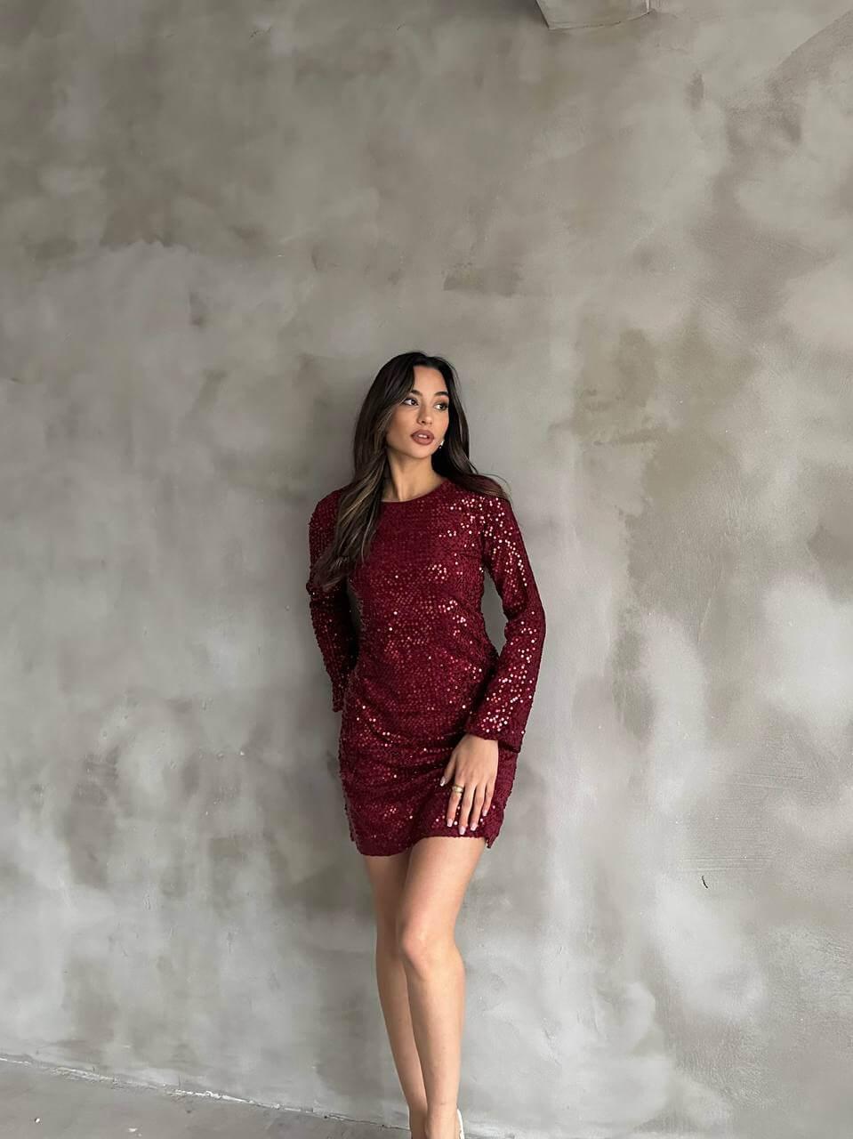 Women's Burgundy Sequin Short Dress with Long Sleeves and A-Line Skirt, Suitable for Night